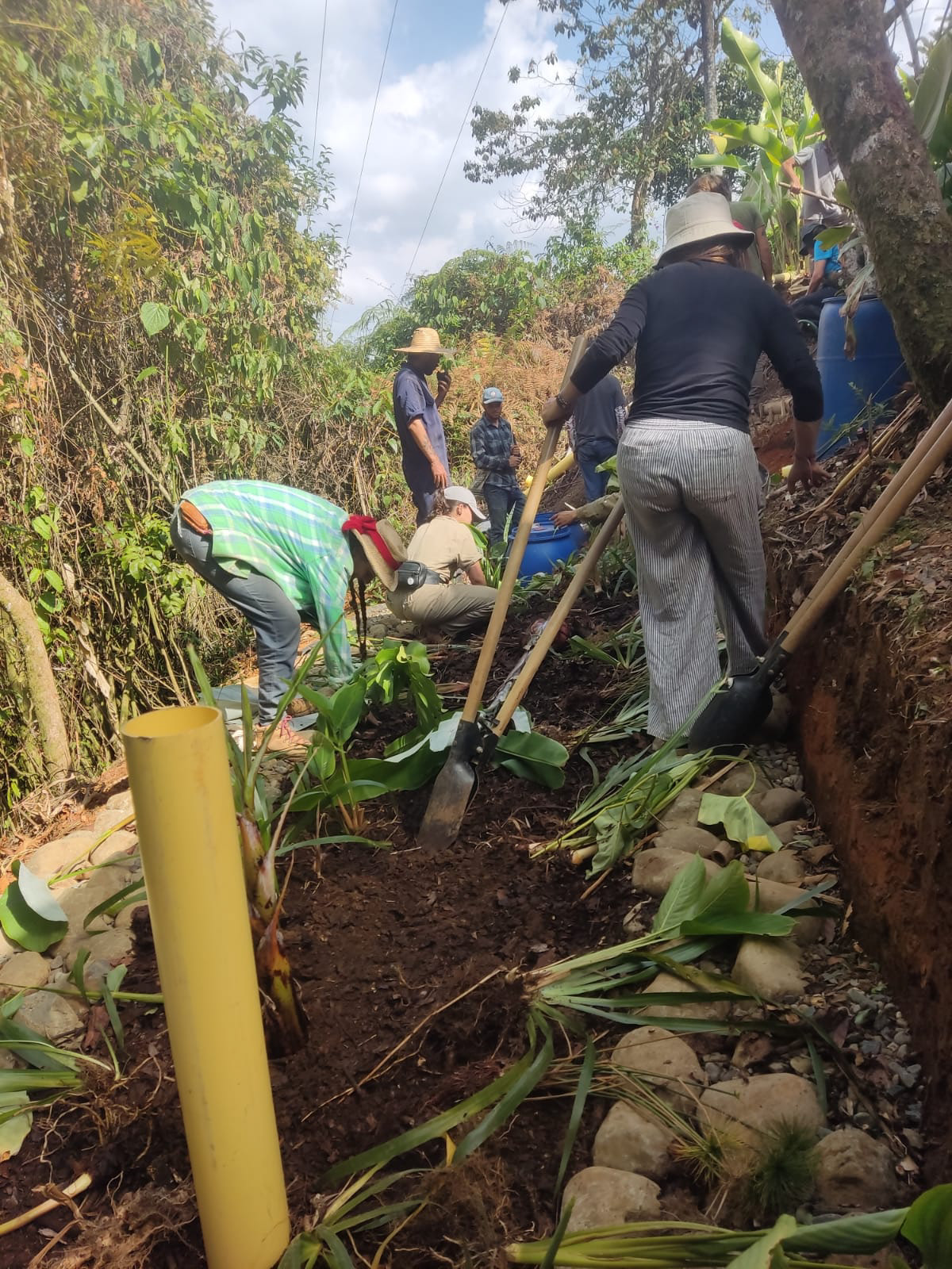 Construccion manual de sistema natural de tratamiento